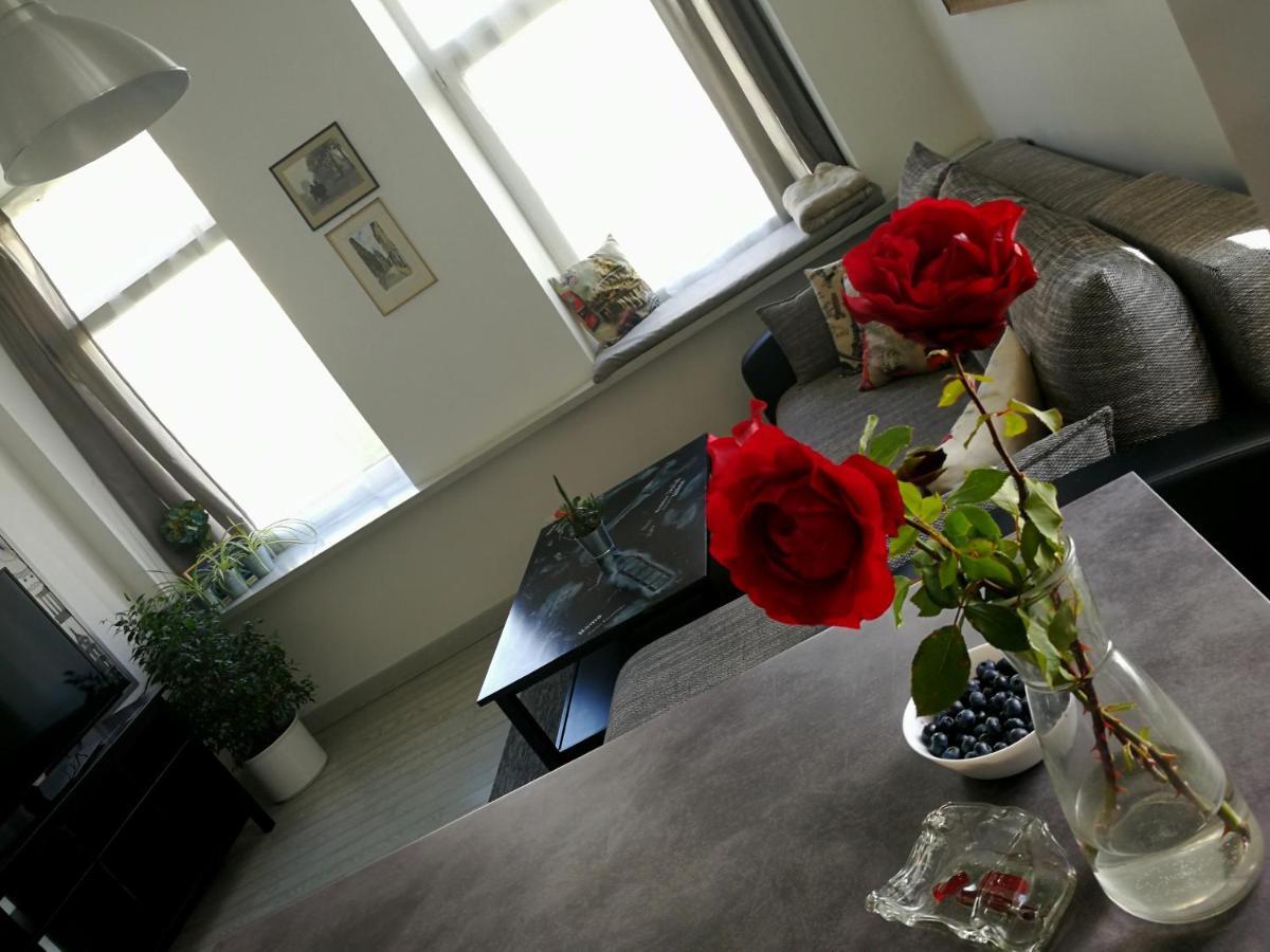 With Stained Glass Apartment Wilna